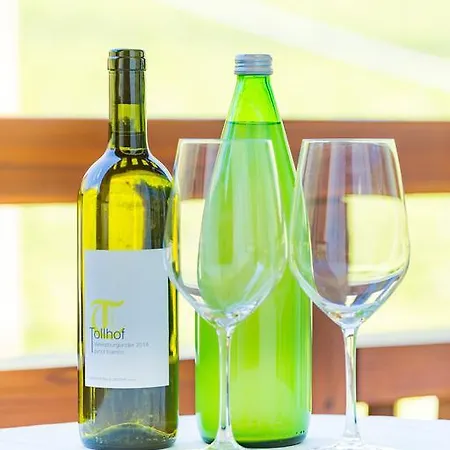 Tollhof Больцано