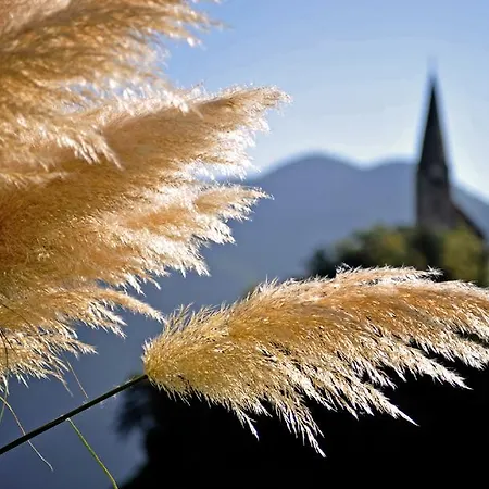 Bauernhof Tollhof