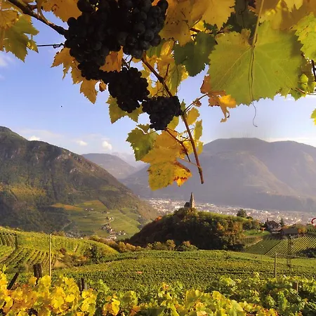 Фермерский дом Tollhof *