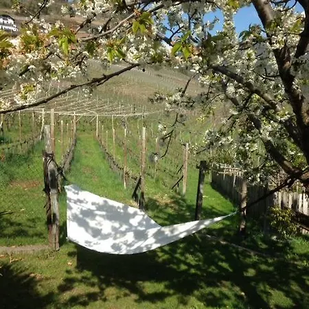 Farm stay Tollhof *