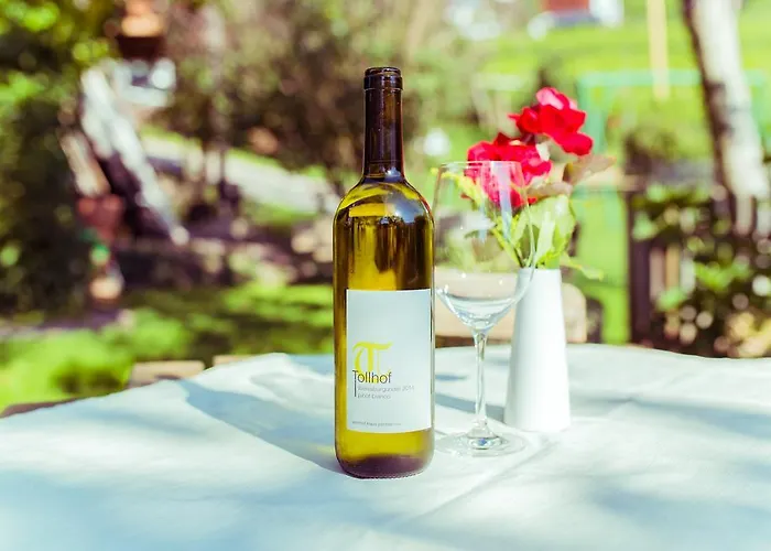 图尔霍夫农家乐 农家乐 *