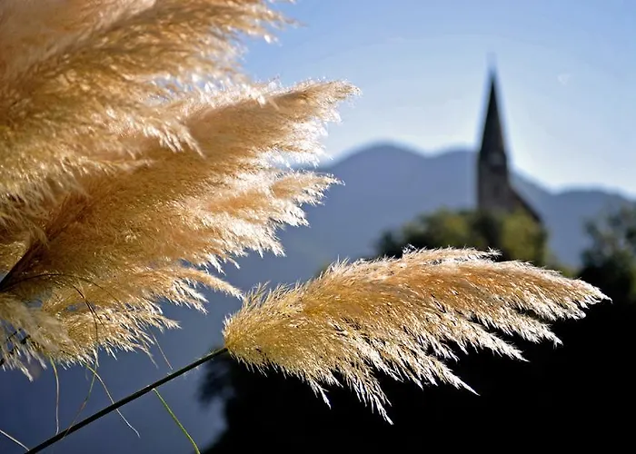 팜스테이 Tollhof