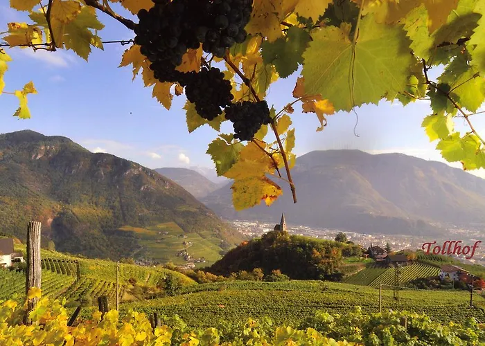 农家乐 图尔霍夫农家乐 *