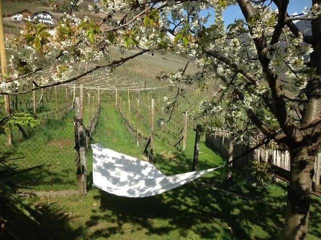 팜스테이 Tollhof *