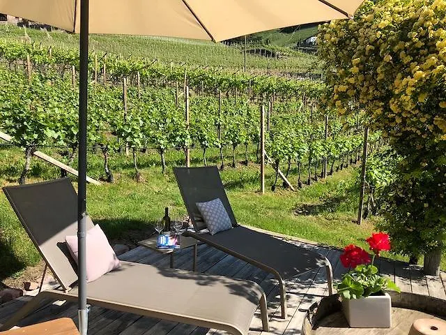 农家乐 图尔霍夫农家乐